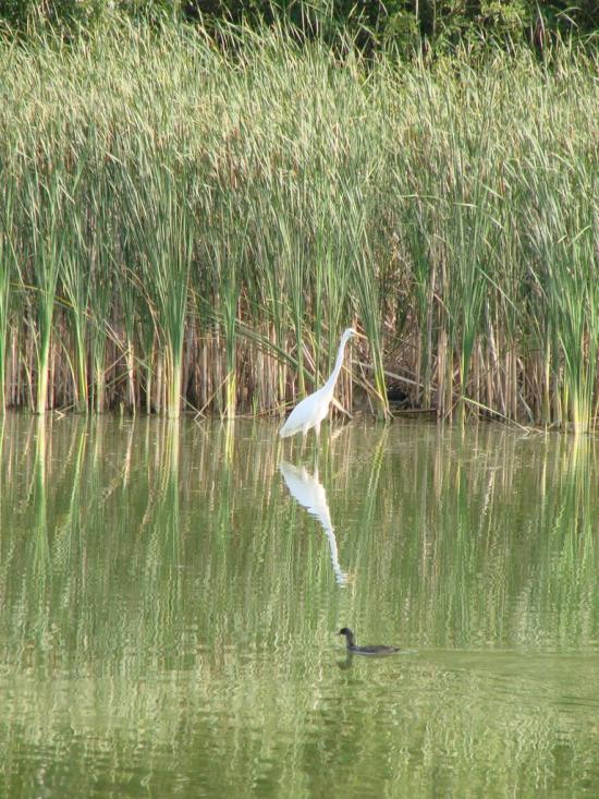 Данилівка з panoramio.com - Даниловка
