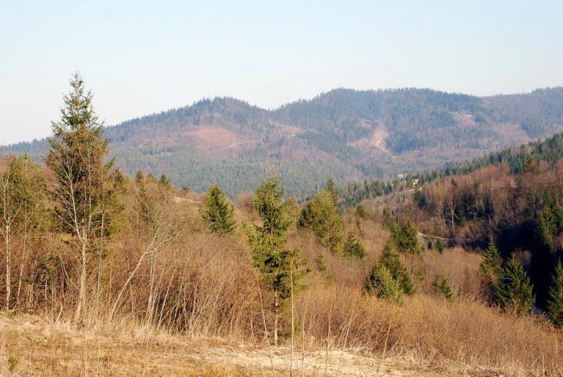 Кричка з panoramio.com - Кричка
