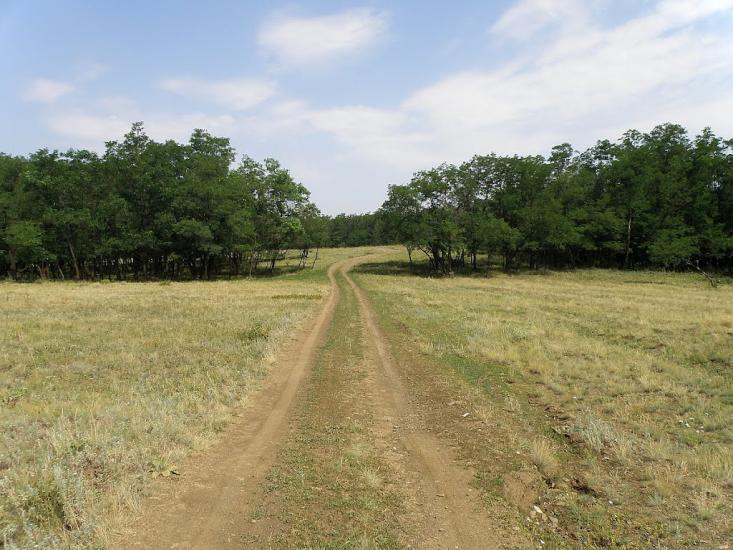 Княгинівка з panoramio.com - Княгиневка