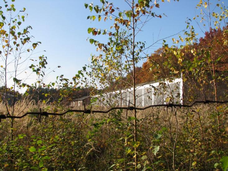Рясне-Руське з panoramio.com - Рясное-Русское