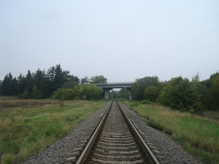 Григорівка з panoramio.com - Григорівка
