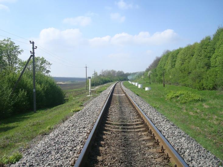 Велика Медведівка з panoramio.com - Велика Медведівка