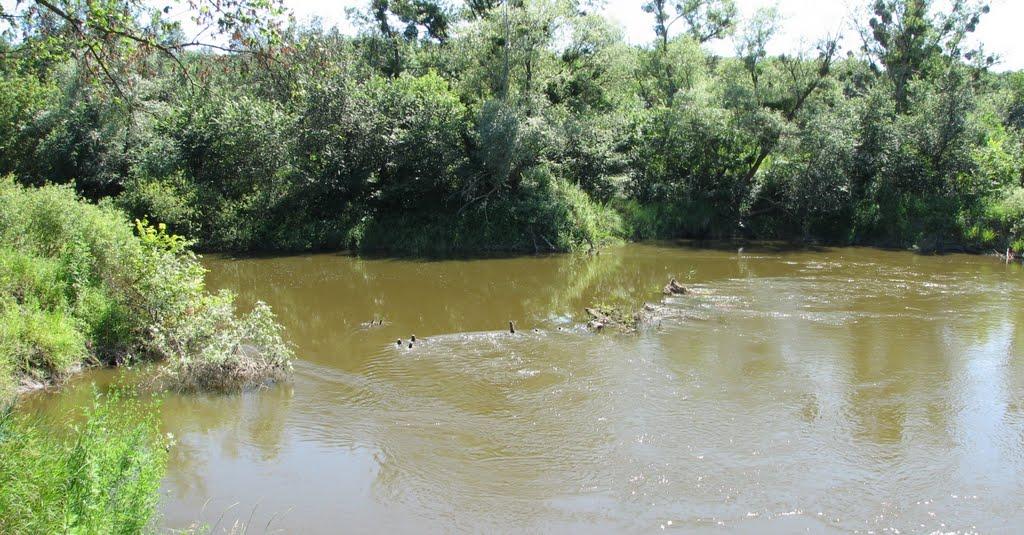 Підлісне з panoramio.com - Pidlisne