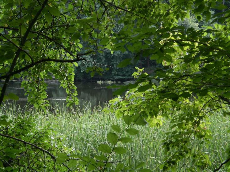 Руські Тишки з panoramio.com - Руські Тишки
