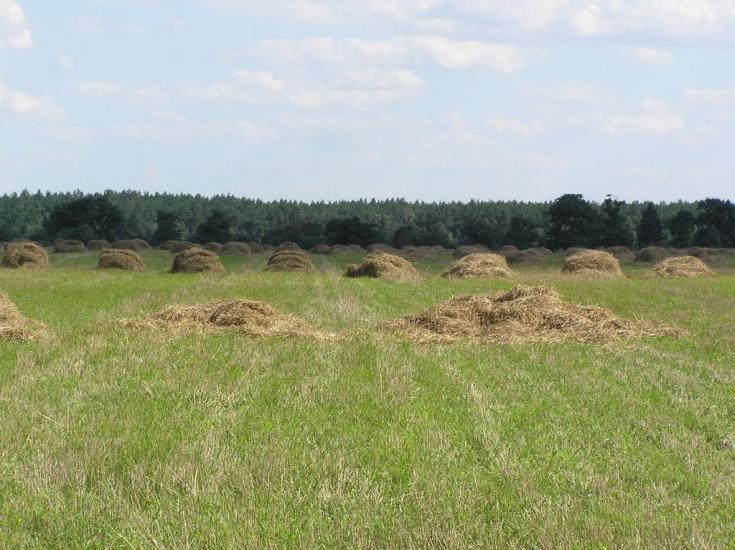 Ушиця з panoramio.com - Ушица