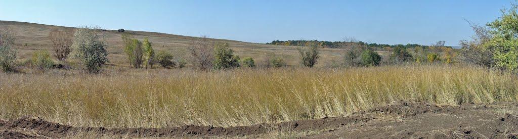 Вільхівка з panoramio.com - Vilkhivka