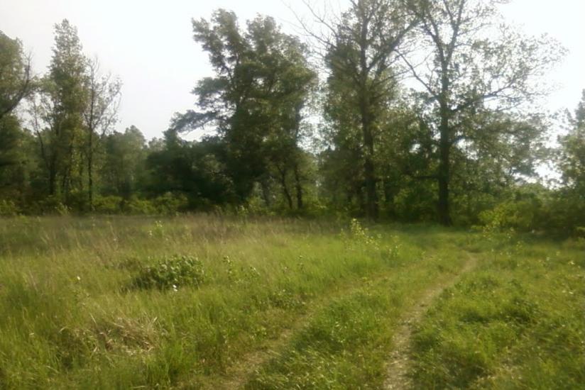 Самусіївка з panoramio.com - Самусевка