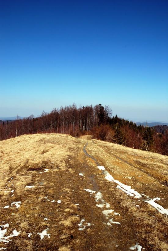 Букове з panoramio.com - Букове