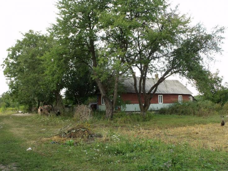 Стеблівка з panoramio.com - Стеблівка