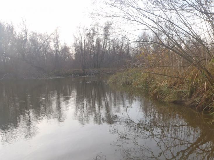Кривуші з panoramio.com - Кривуши