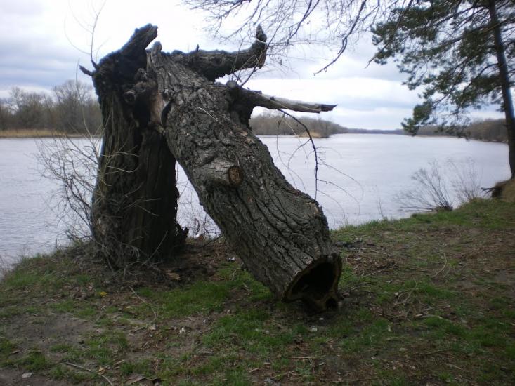 Бубнівська Слобідка з panoramio.com - Bubnivska Slobidka