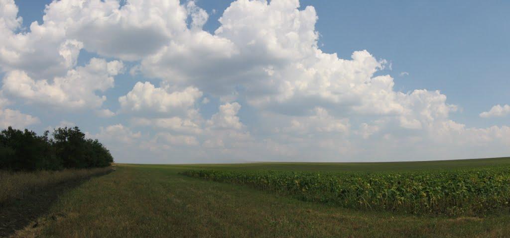 Калинівка з panoramio.com - Калиновка