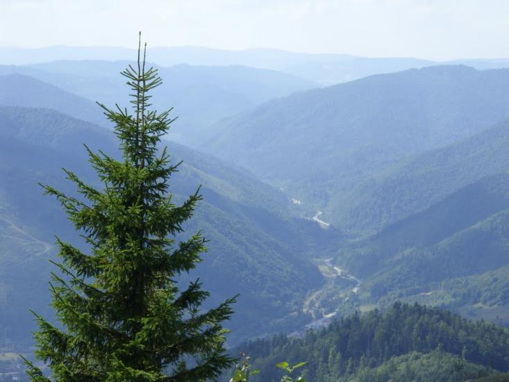 Коростів з panoramio.com - Коростов