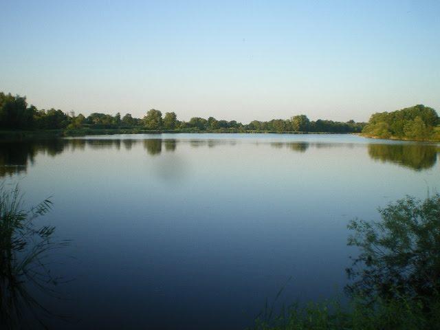 Черепашинці з panoramio.com - Cherepashyntsi