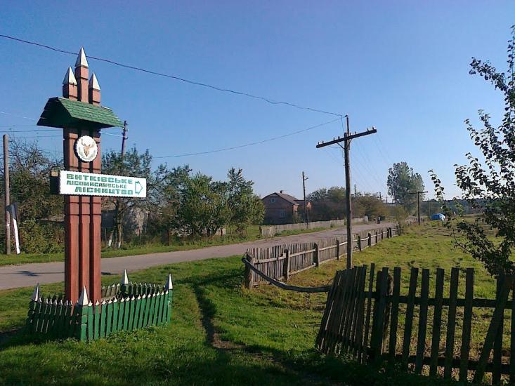 Новий Витків з panoramio.com - Новий Витків