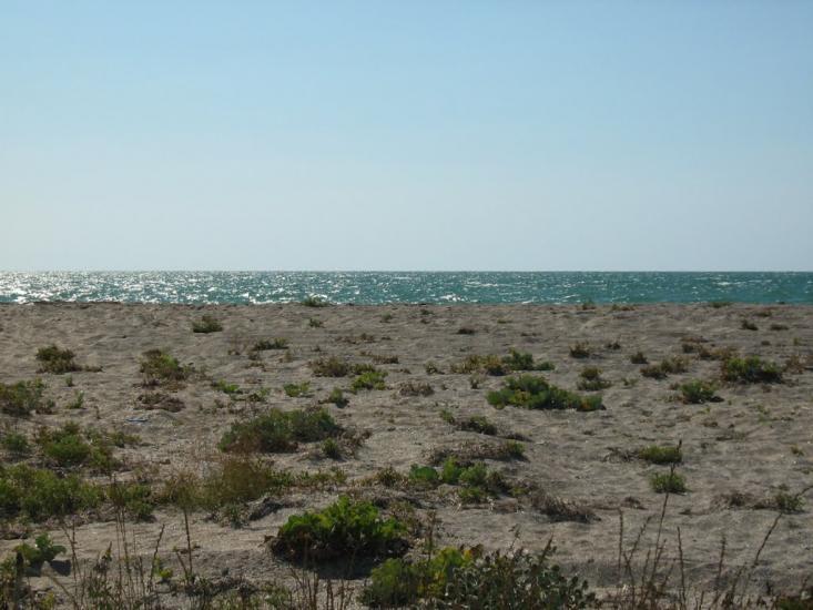 Стерегуще з panoramio.com - Стерегущее