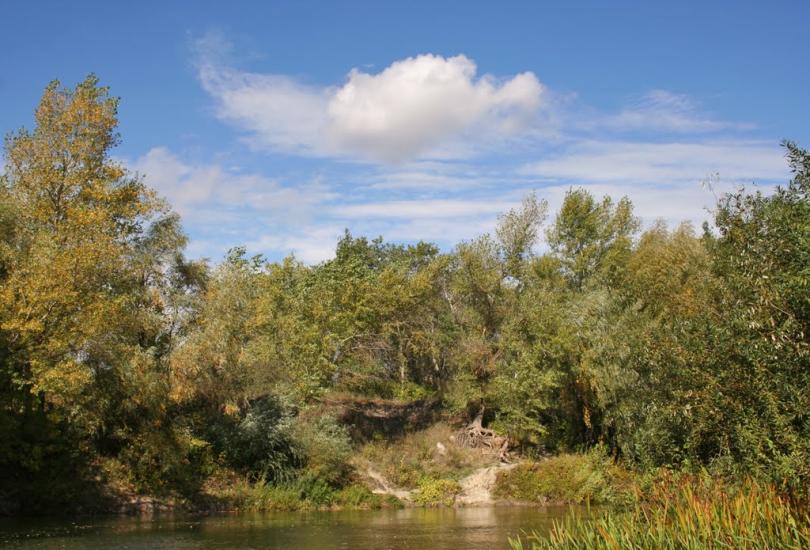 Юрки з panoramio.com - Юрки
