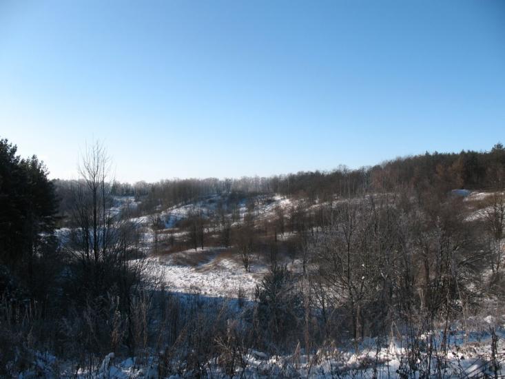 Нова Січ з panoramio.com - Нова Січ