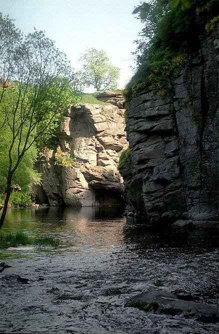 Буки з panoramio.com - Буки