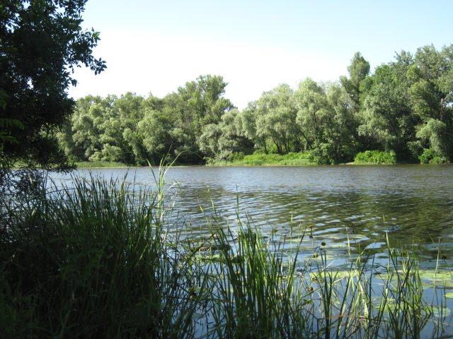 Потоки з panoramio.com - Потоки