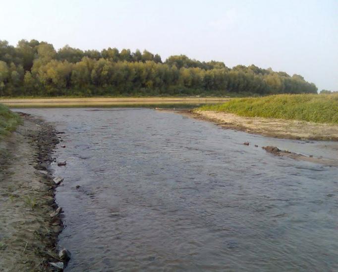 Пирогівка з panoramio.com - Пироговка