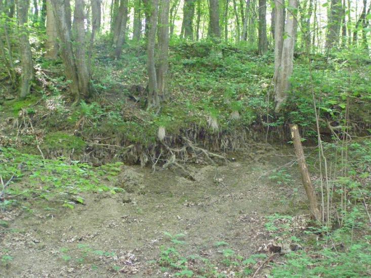 Черкасівка з panoramio.com - Cherkasivka