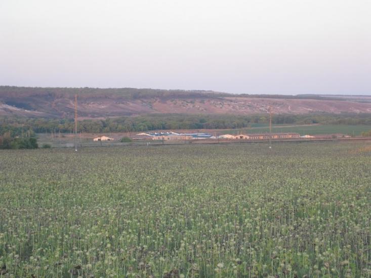 Петровеньки з panoramio.com - Петровеньки