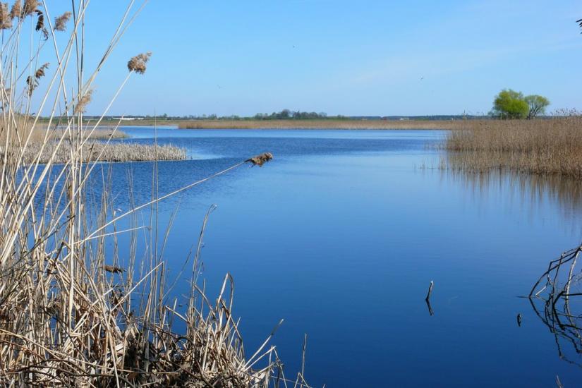 Переможне з panoramio.com - Переможне