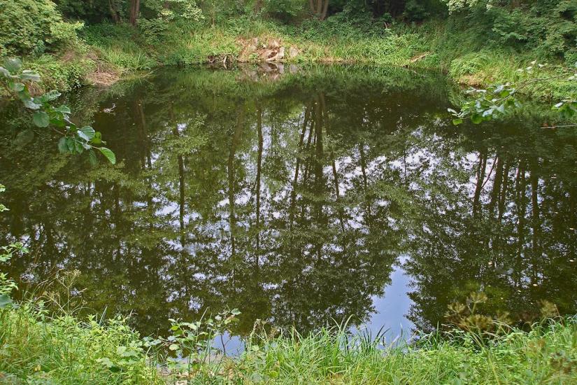 Велика Офірна з panoramio.com - Велика Офірна