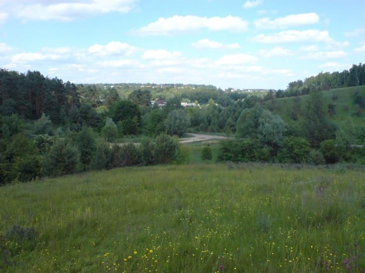 Новосілки з panoramio.com - Новоселки