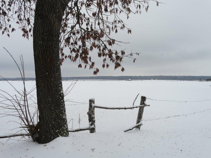 Бодячів з panoramio.com - Бодячев