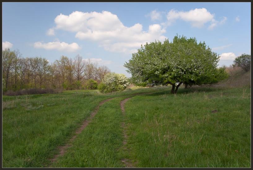 Високогірне з panoramio.com - Високогірне