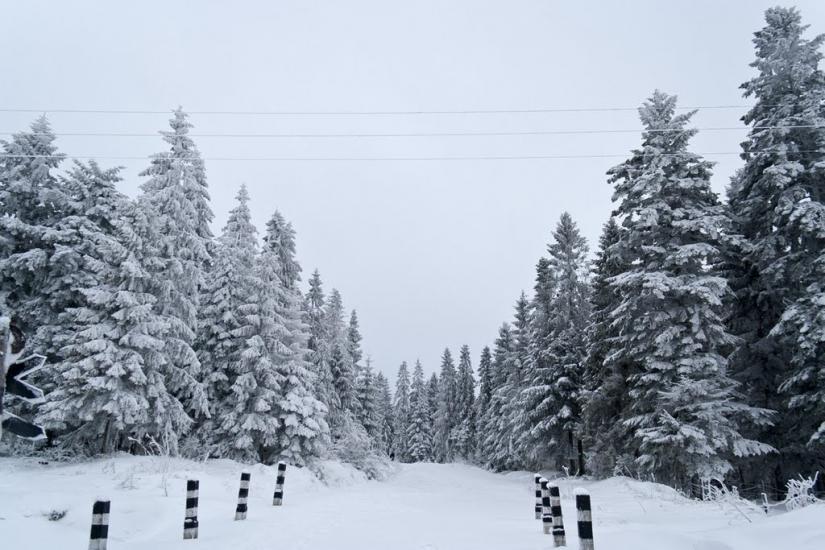 Сянки з panoramio.com - Сянки