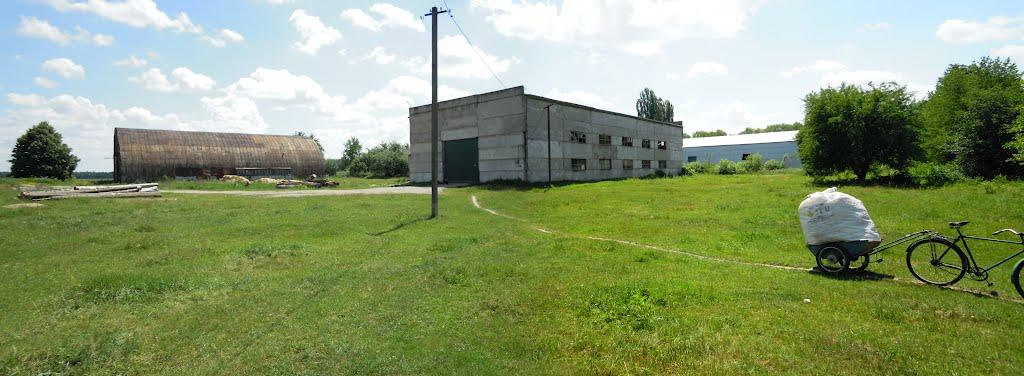 Грижинці з panoramio.com - Грижинці