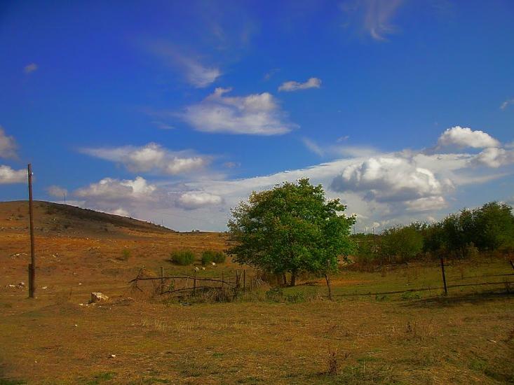 Рєпіне з panoramio.com - Рєпіне