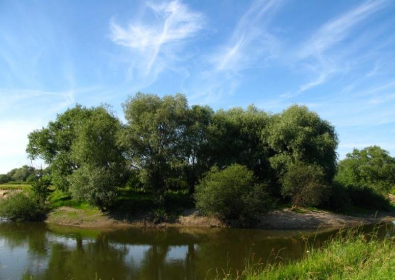 Литовеж з panoramio.com - Литовеж