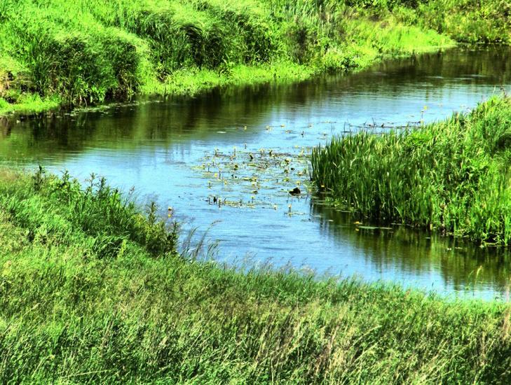 Озерне з panoramio.com - Озерне
