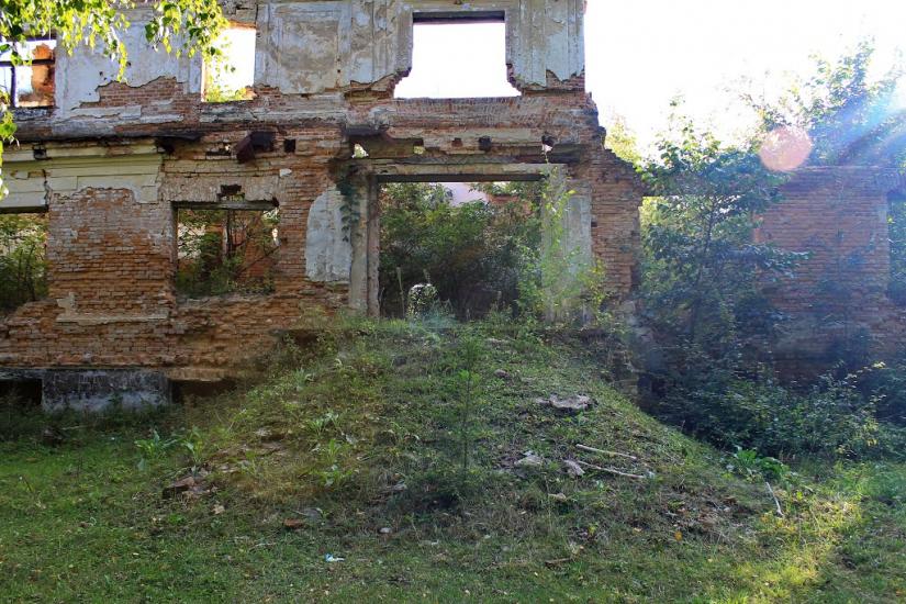 Сніжна з panoramio.com - Сніжна