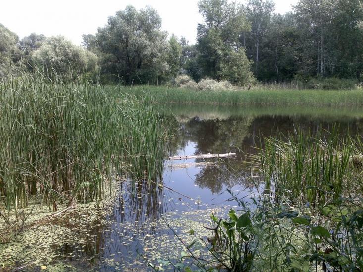 Райгородок з panoramio.com - Raygorodok