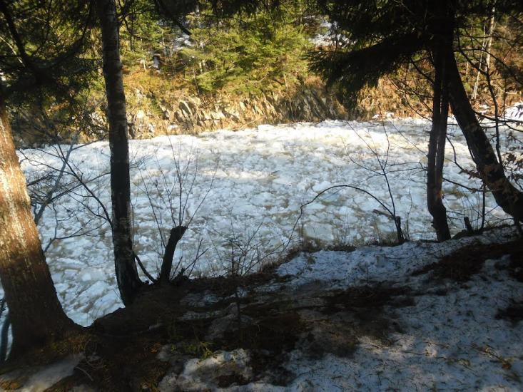 Новий Мізунь з panoramio.com - Novyy Mizun