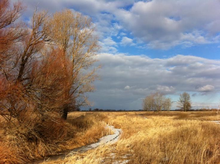 Хотянівка з panoramio.com - Хотяновка