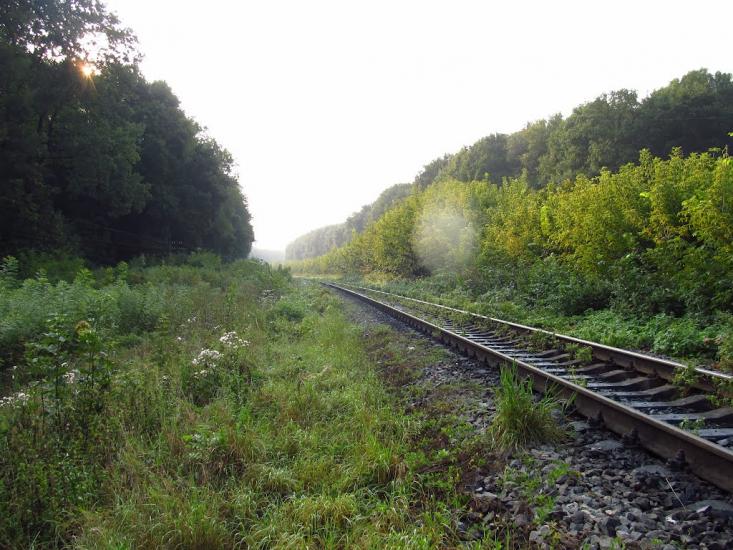 Велика Березовиця з panoramio.com - Велика Березовиця
