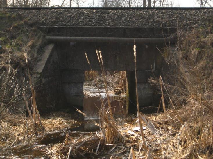 Пасіки-Зубрицькі з panoramio.com - Пасеки-Зубрицкие