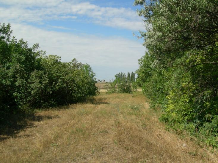 Пересадівка з panoramio.com - Пересадівка