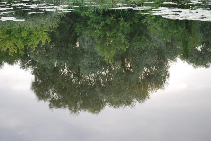 Хотянівка з panoramio.com - Хотяновка