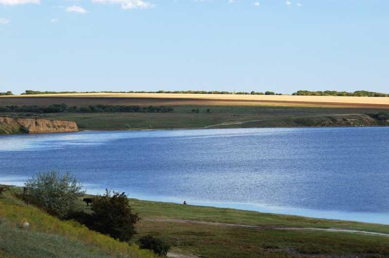 Нова Ковалівка з panoramio.com - Нова Ковалівка