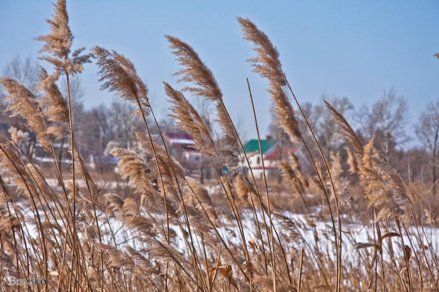 Горянівське з panoramio.com - Горянівське