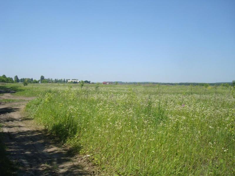 Копистин з panoramio.com - Копыстин