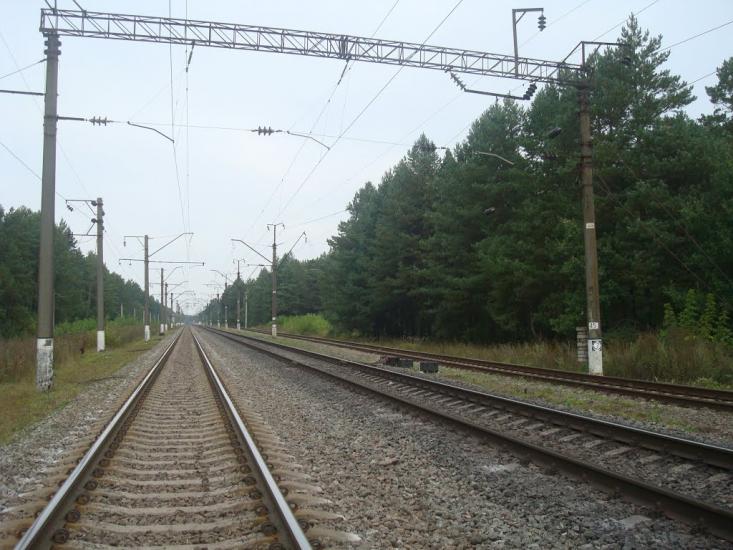Цвітоха з panoramio.com - Tsvitokha