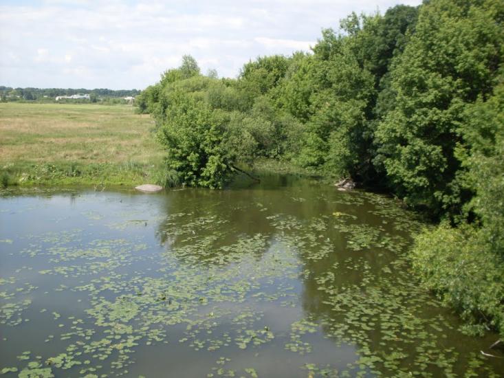 Дашів з panoramio.com - Дашев